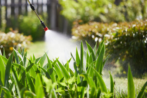 24/7 Emergency Wasp Removal experts in Waterman, IL