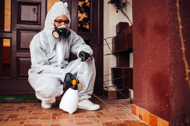Reliable Wasp Removal contractor in Waterman, IL by Show Me Pest Control